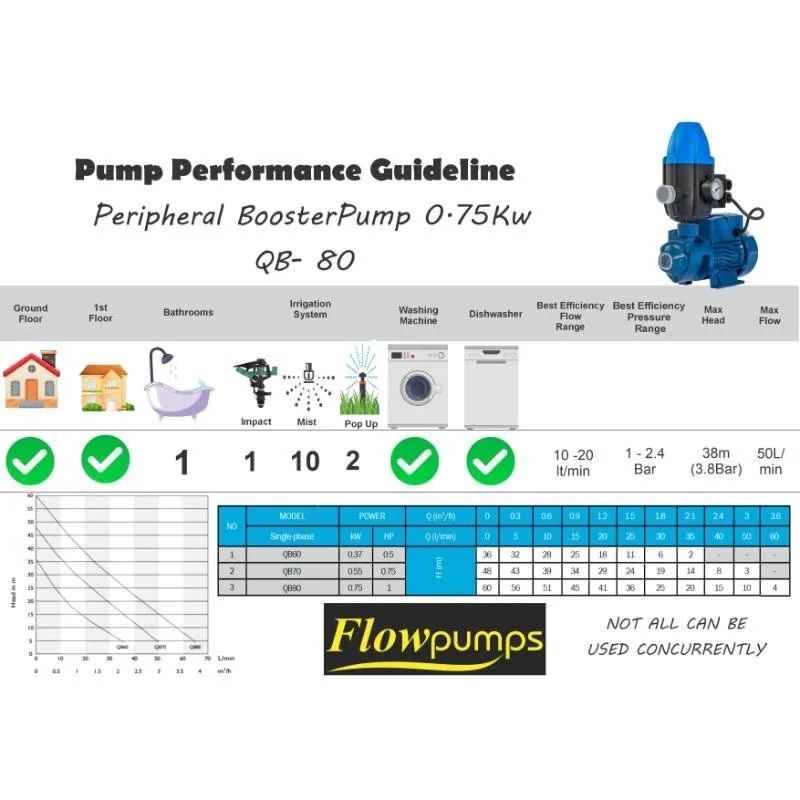 0.75 kW Peripheral Pump Kit with Flow Switch, 60 L/min, 60 m 0.75 kW peripheral pump kit with flow switch, 60 L/min, detail view