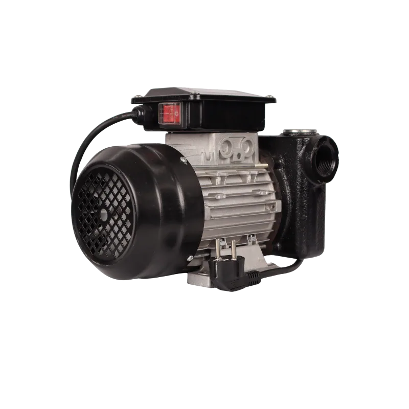 DYB-80 220V Diesel Transfer Pump, 70-80 L/min, 750 W DYB-80 220V diesel transfer pump with switch, 70 to 80 L/min