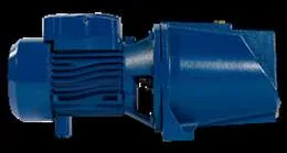 Vega JLM75 cast iron self-priming jet pump, 0.75 kW, 220 V