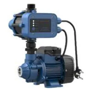 QB60G 0.37 kW peripheral booster pump combo with union and automatic controller