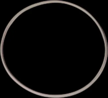 Lid O-ring for Superflo pool pump, code 500-6095